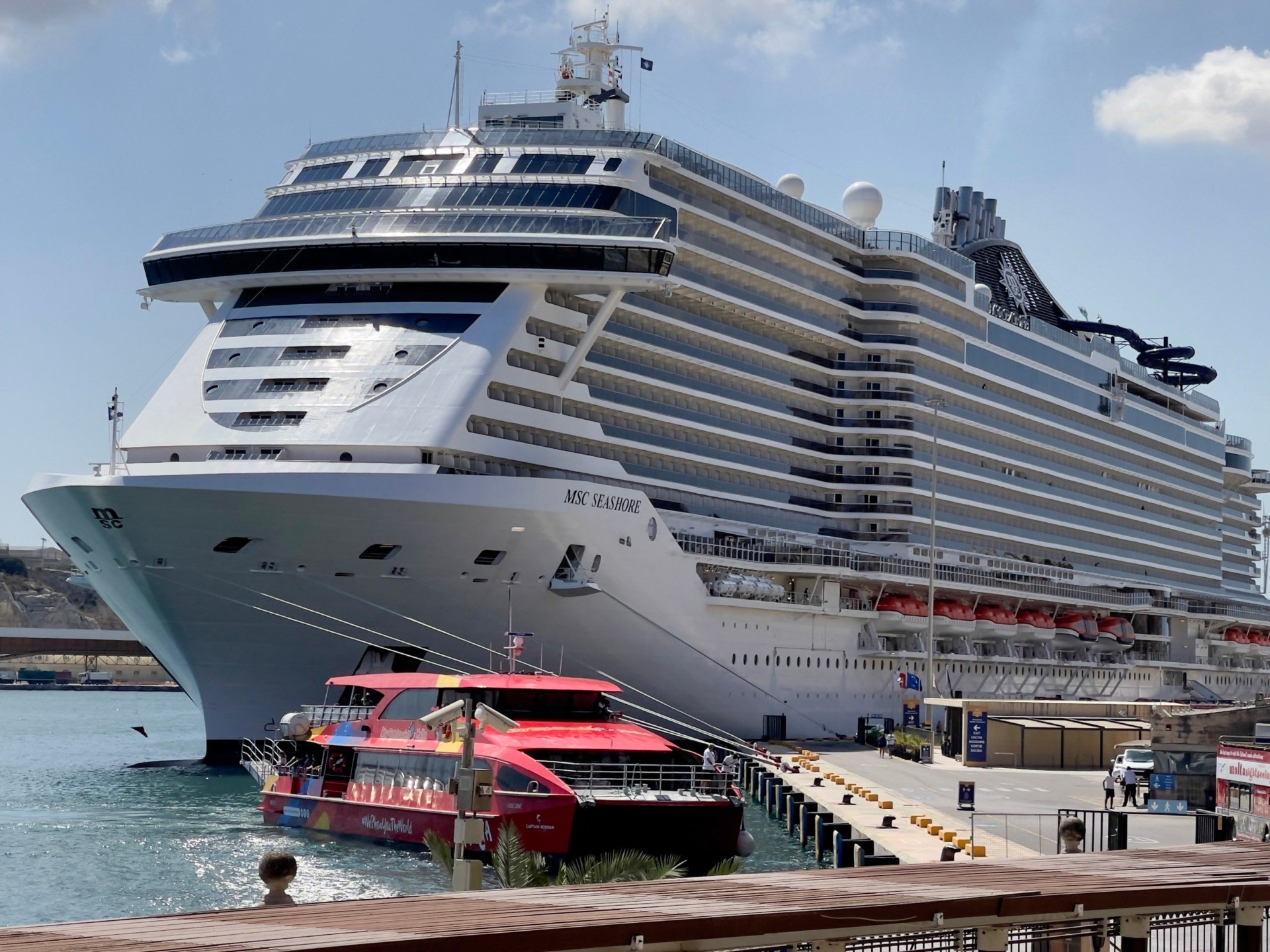 Fifteen-Year-Old Dies After Fall from Cruise Ship Returning to Miami - Vimarsana News