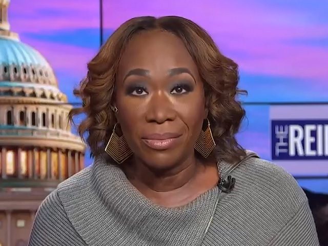 MSNBC’s Joy Ann Reid Ripped for ‘Racist’ Take on DeSantis’s ‘Second Amendment State’ Warning to Looters