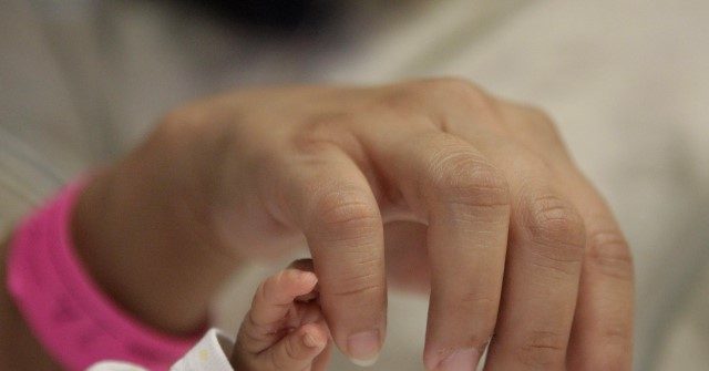 Minnesota-Based Abortion Van Organization Plans to Expand