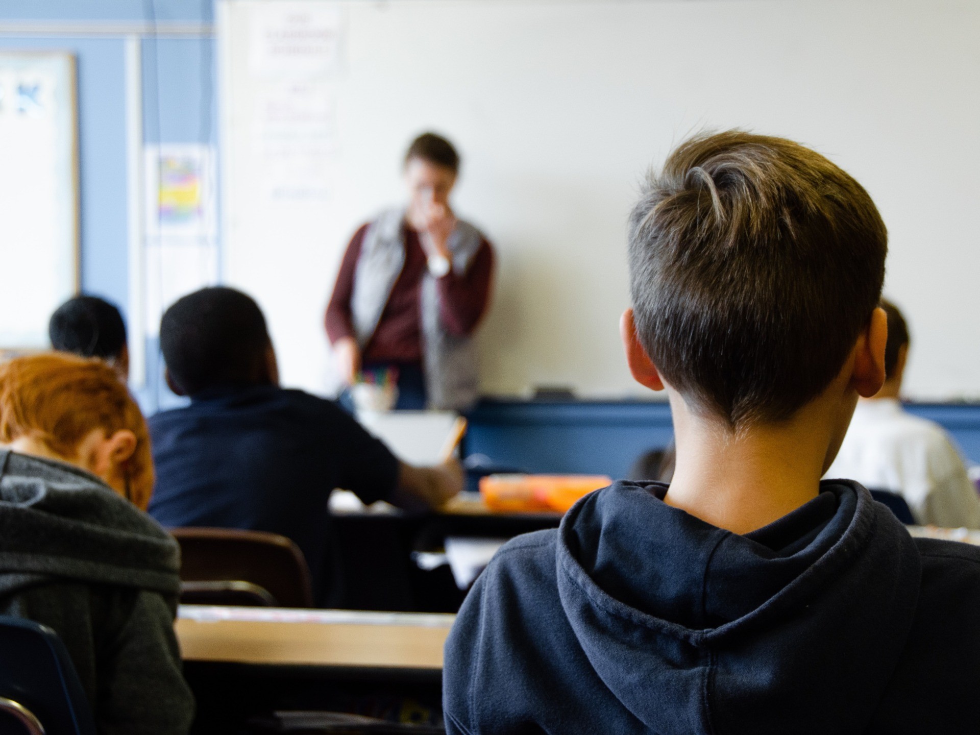 Schools Screen Potential Teachers for 'Anti-Racism,' 'Cultural Competency' - Vimarsana News