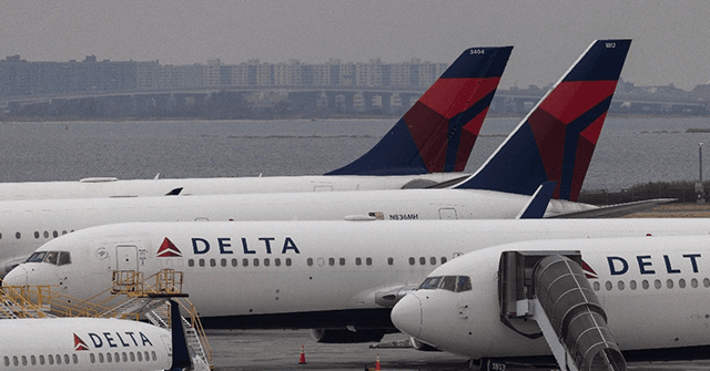 Delta CEO Warns Government Regulation Could Increase Ticket Prices