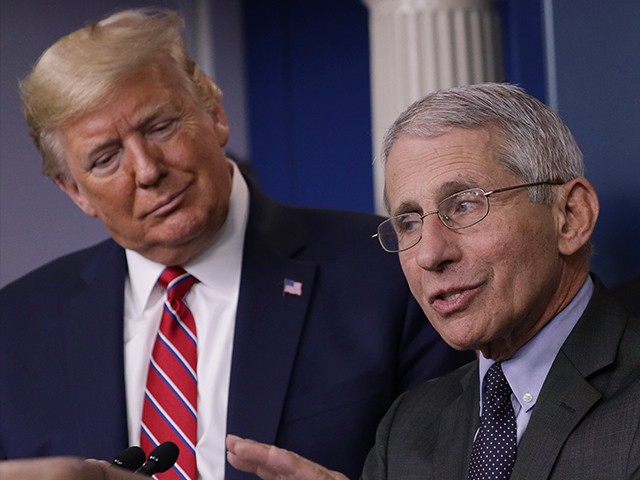 Ron DeSantis: Anthony Fauci's Hysteria Triggered
Lockdowns