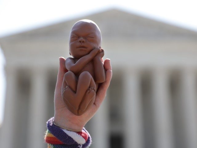 WASHINGTON, DC - JUNE 22: A pro-life activist holds up a model of a fetus during a protest in front of the U.S. Supreme Court June 22, 2020, in Washington, DC. The Supreme Court is expected to issue a ruling on abortion rights soon.