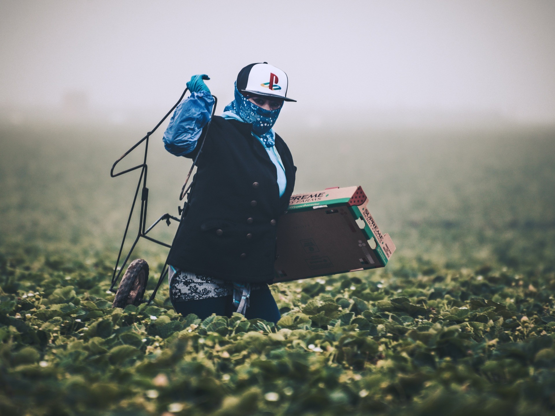 Republicans, Democrats Ask DHS Mayorkas to Import More Cheap Labor - Vimarsana News