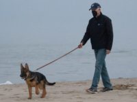 Joe Biden Masks up on Beach Trip with His Dog