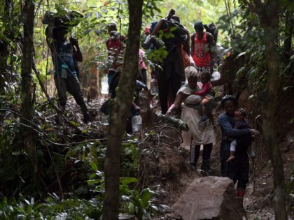 Haitian migrants cross the jungle of the Darien Gap, near Acandi, Choco department, Colombia, heading to Panama, on September 26, 2021, on their way trying to reach the US. - From Acandi, they started on foot -- and armed with machetes, lanterns and tents -- the dangerous trek of at …