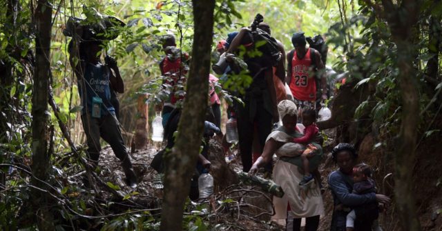 Watch: Migration Expert Describes Mass Deaths on Biden's Trail of Tears