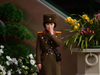 TOPSHOT - A Korean People's Army (KPA) soldier stands at the entrance to a 'Kimjongilia' flower exhibition celebrating late North Korean leader Kim Jong Il, in Pyongyang on February 14, 2019. (Photo by Ed JONES / AFP) (Photo credit should read ED JONES/AFP via Getty Images)