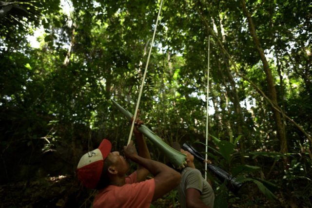 Members of the Nukak Indigenous people use blowpipes to hunt monkeys and other jungle anim