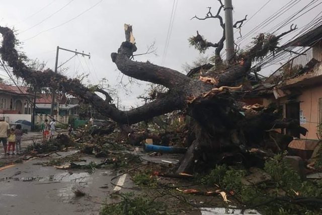 The typhoon uprooted trees, toppled power lines and flooded villages as it barrelled acros