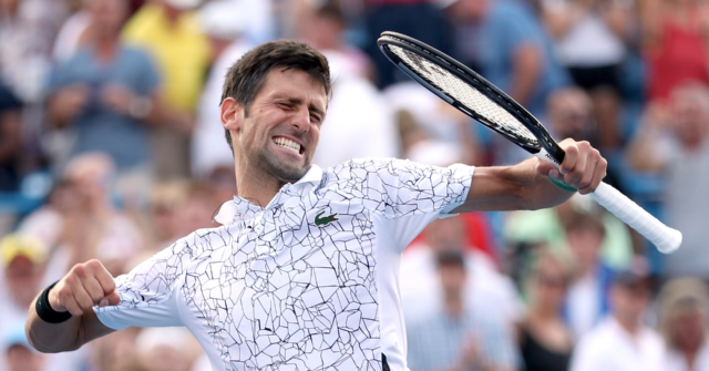 Farage: Djokovic has Won First 'Big Victory' Against Pandemic Big State