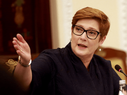 Australia's Foreign Minister Marise Payne takes part in a meeting with her Vietnamese counterpart Bui Thanh Son at the Government Guest House in Hanoi on November 9, 2021. (Photo by LUONG THAI LINH / POOL / AFP) (Photo by LUONG THAI LINH/POOL/AFP via Getty Images)