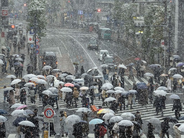 TOKYO, JAPAN - JANUARY 06: People walk along Shibuya crossing during snowfall on January 6