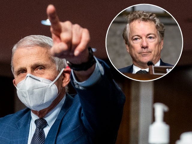 (INSET: Sen. Rand Paul) Dr. Anthony Fauci, director of the National Institute of Allergy and Infectious Diseases and chief medical adviser to the President, prepares to testify before the Senate Health, Education, Labor and Pensions Committee on January 11, 2022 in Washington, DC. The committee will hear testimony about the …