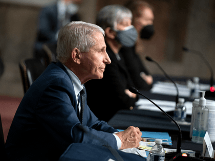 Dr. Anthony Fauci, White House Chief Medical Advisor and Director of the NIAID, testifies at a break at a Senate Health, Education, Labor, and Pensions Committee hearing on Capitol Hill on January 11, 2022 in Washington, D.C. The committee will hear testimony about the federal response to COVID-19 and new, …