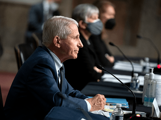 Dr. Anthony Fauci, White House Chief Medical Advisor and Director of the NIAID, testifies