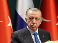 Turkey’s Erdogan Desperately Seeks Role in Ukraine Mess
