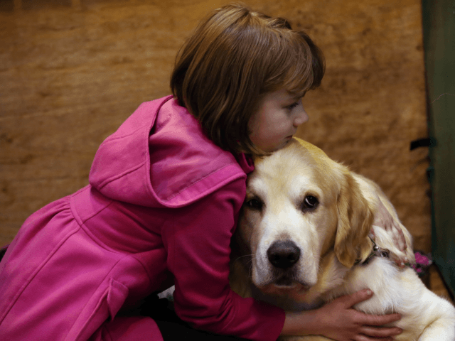 BIRMINGHAM, ENGLAND - MARCH 05: A girl hugs her dog on the first day of Crufts dog show at the National Exhibition Centre on March 5, 2015 in Birmingham, England. First held in 1891, Crufts is said to be the largest show of its kind in the world, the annual …