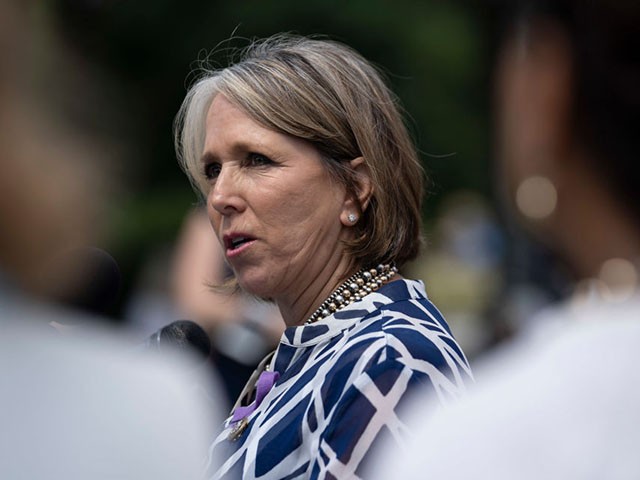WASHINGTON, DC - JUNE 13: Rep. Michelle Lujan Grisham (D-NM) speaks during a news conference on immigration to condemn the Trump Administration's "zero tolerance" immigration policy, outside the US Capitol on June 13, 2018 in Washington, DC. (Photo by Toya Sarno Jordan/Getty Images)