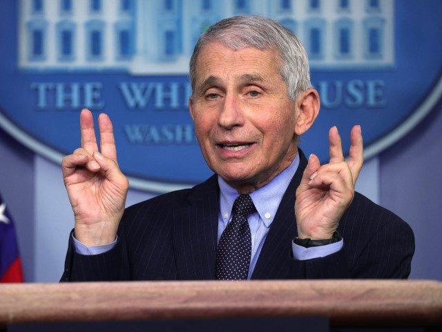 WASHINGTON, DC - JANUARY 21: Dr Anthony Fauci, Director of the National Institute of Allergy and Infectious Diseases, speaks during a White House press briefing, conducted by White House Press Secretary Jen Psaki, at the James Brady Press Briefing Room of the White House January 21, 2021, in Washington, DC. …