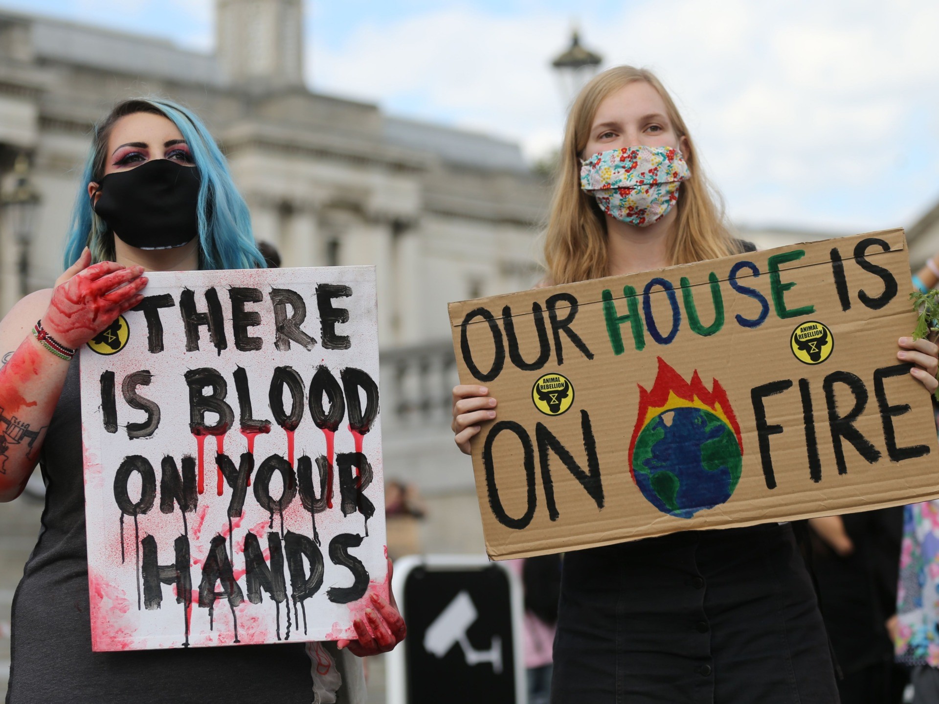Climate Alarmists: The Sixth Mass Extinction 'Really Has Begun' - Vimarsana News