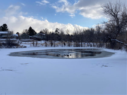 A woman and her dog were rescued after falling into a partially frozen Colorado pond, authorities say. The incident occurred Tuesday afternoon at a pond in the 2800 block of Centennial, Colorado, southeast of Denver, according to the South Metro Fire Rescue (SMFR).
