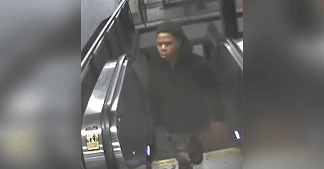 Police Release Video of Man Suspected of Latest NYC Subway Shove