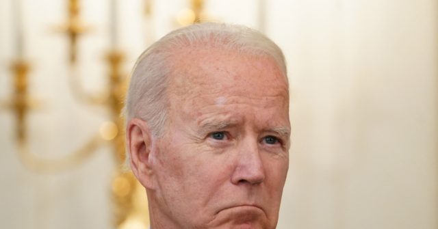 Joe Biden Complains About ‘Ridiculous’ Number of Gun Sales After Synagogue Terrorist Incident