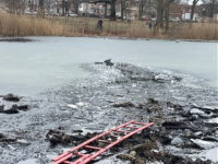 PHOTOS: NYC First Responders Rescue Children Who Fell Through Frozen Queens Pond