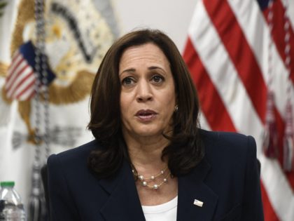 US Vice President Kamala Harris participates in a roundtable discussion with advocates from faith-based NGOs and shelter and legal service providers, during a visit to the Paso del Norte Port of Entry on June 25, 2021 in El Paso, Texas. - Vice President Kamala Harris is traveling in El Paso, …