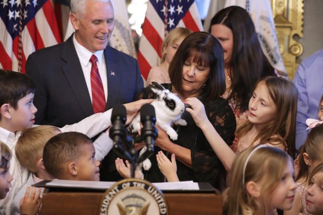 The Pence family announced over the weekend that Marlon Bundo -- their pet rabbit seen her