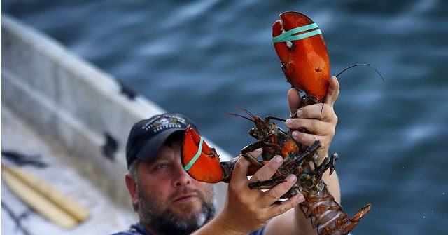 Maine Legislature Sinks Bill to Protect Lobstermen from Green New Deal