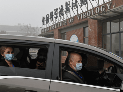 Peter Daszak (R), Thea Fischer (L) and other members of the World Health Organization (WHO) team investigating the origins of the COVID-19 coronavirus, arrive at the Wuhan Institute of Virology in Wuhan in China's central Hubei province on February 3, 2021. (Photo by Hector RETAMAL / AFP) (Photo by HECTOR …