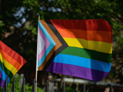 A Progress Pride flag and rainbow flags are seen at the Stonewall National Monument, the f