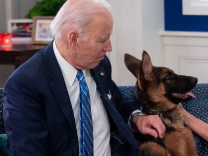 US President Joe Biden and US First Lady Jill Biden, look at their new dog Commander, after speaking virtually with military service members to thank them for their service and wish them a Merry Christmas, from the South Court Auditorium of the White House in Washington, DC, on December 25, …