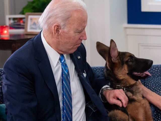 Report: Joe Biden Watched His Dog Commander Bite Secret Service Agents, Then Accused Them of Lying