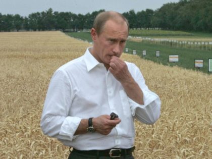 TOPSHOT - Russian President Vladimir Putin crosses a field during his visit to an agriculture exhibition in Rostov-on-Don, 30 June, 2007.