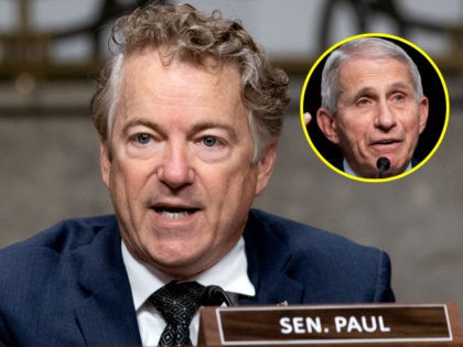JANUARY 11: Sen. Rand Paul (R-KY) questions Dr. Anthony Fauci, White House Chief Medical Advisor and Director of the NIAID, at a Senate Health, Education, Labor, and Pensions Committee hearing on Capitol Hill on January 11, 2022 in Washington, D.C.(Photo by Greg Nash-Pool/Getty Images)