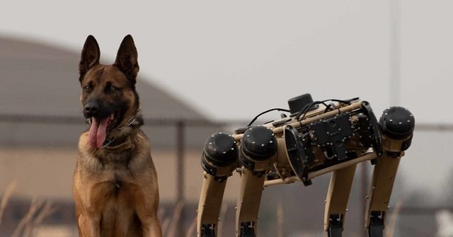 Feds Test Robotic Dogs For Deployment Along U.S. Border Regions