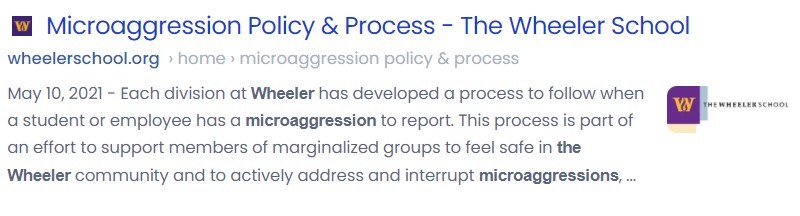 Wheeler Microaggression Policy Google search screenshot. (Breitbart News)