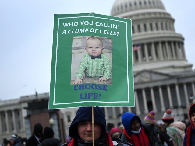 TOPSHOT - Pro-life activists march during the 49th annual March for Life, on January 21, 2