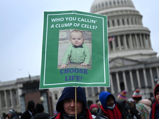 TOPSHOT - Pro-life activists march during the 49th annual March for Life, on January 21, 2022, in Washington, DC.