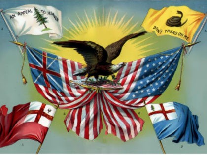 An American school textbook depicting the flag alongside the Gadsden Flag, the Grand Union Flag, a colonial New England flag, the Bunker Hill flag, and the Flag of the United States. unknown 1885 High School text book artist