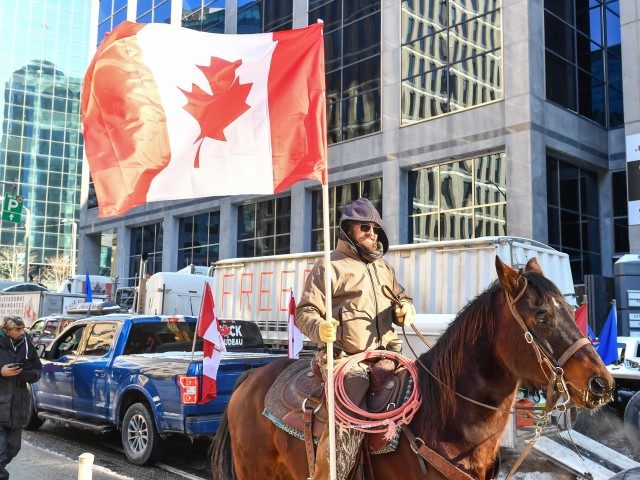 OTTAWA, ON - FEBRUARY 05: A supporter of the Freedom Convoy rides on horseback down Metcal