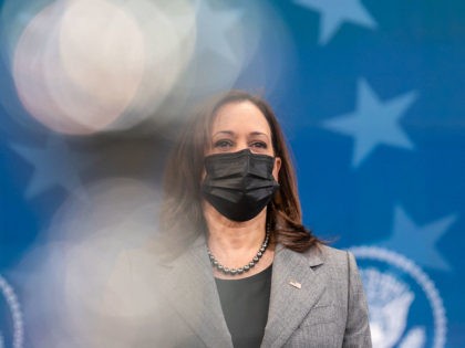 Vice President Kamala Harris and Secretary of Veterans Affairs Dennis McDonough look on as