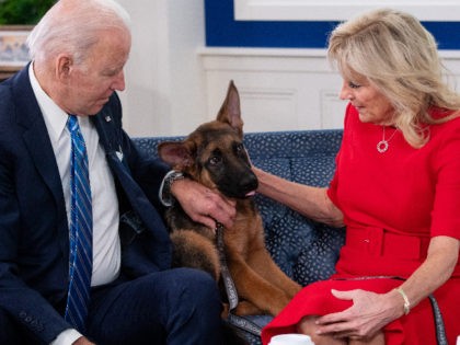 US President Joe Biden and US First Lady Jill Biden, look at their new dog Commander, afte