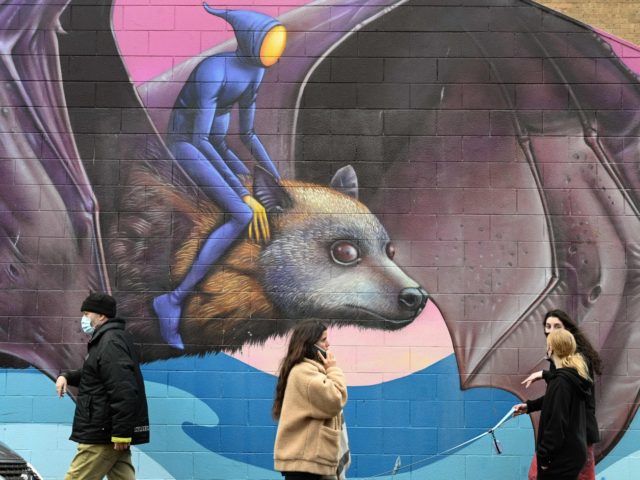 People walk past a mural by artist Hayden Dewar in Melbourne on August 16, 2021, as a coronavirus curfew from 9pm to 5am to begin later this evening was announced for Australia's second-biggest city. - RESTRICTED TO EDITORIAL USE - MANDATORY MENTION OF THE ARTIST UPON PUBLICATION - TO ILLUSTRATE …