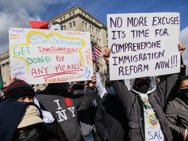 Demonstrators call for immigration reform near the White House in Washington, DC, on Febru