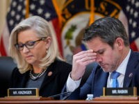 Kinzinger: Liz Cheney Is Standing Up Against Evil -- Bad If She Loses