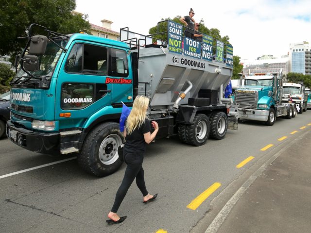 WELLINGTON, NEW ZEALAND - FEBRUARY 08: A protester walks past vehicles blocking Lambton Qu